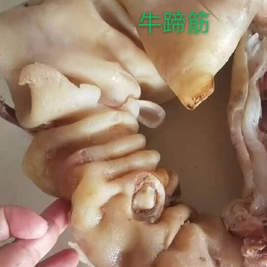 博爱县清真水煮去骨牛蹄筋