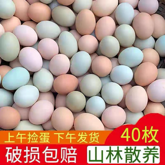 绿壳蛋   破损包赔土鸡蛋农家散养新鲜纯农村自养天然土鸡