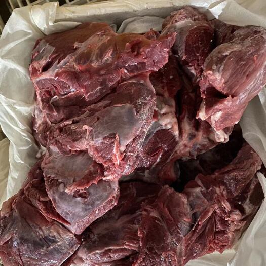 商丘猪肉类 母猪前驳