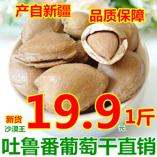 白果新疆特产干果坚果零食手剥小银杏500g袋装产地直销包邮