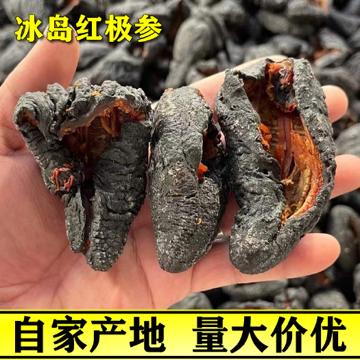 茂名 冰岛红极参淡干海参干货批发15头红极海参大头肉厚酒店易泡发