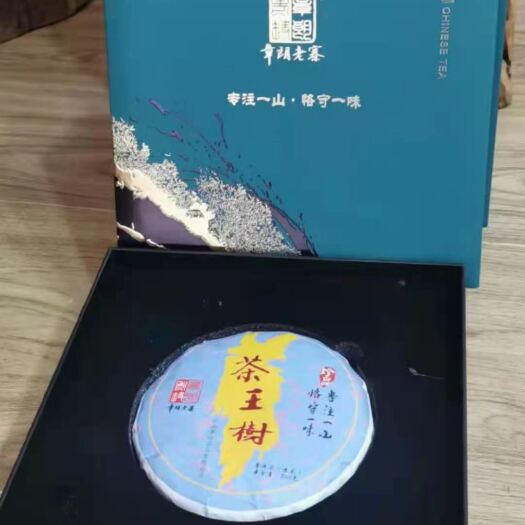 广南县古树茶 章朗茶王树茶