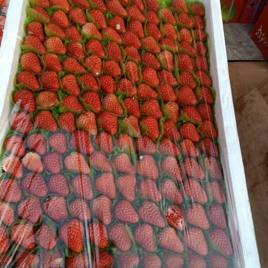  红颜奶油草莓