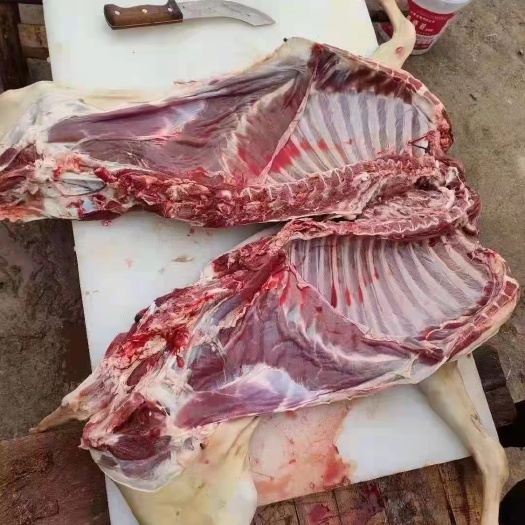 威宁县 白条羊