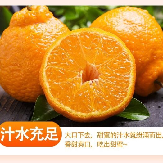 四川丑橘新鲜丑八怪橘子水果当季丑柑不知火耙耙柑丑桔子柑橘批