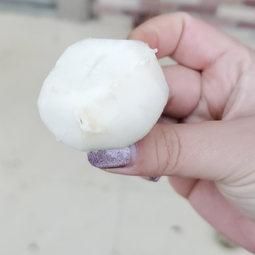 乐昌市马蹄，乐昌马蹄，乐昌地标产品