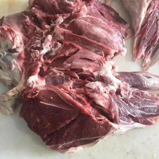 羊肉类 羊后腿肉