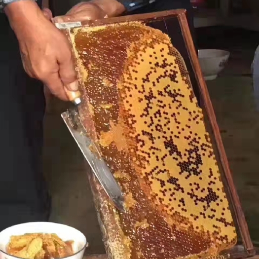 蒙自市枣花蜜  云南蒙自蜂蜜出售