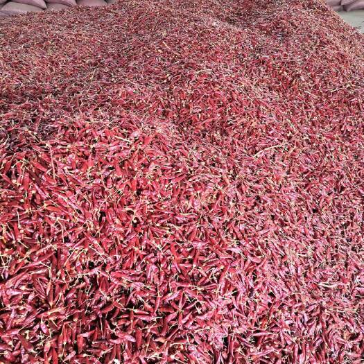 昌吉市朝天椒带把干辣椒  4-5万的辣度，200吨现货，量大从优。