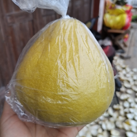 江永县江永香柚小柚