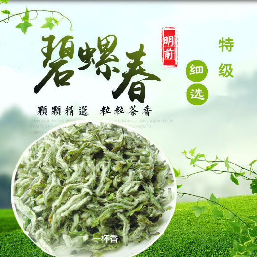 苏州2022新茶苏州洞庭碧螺春高山绿茶