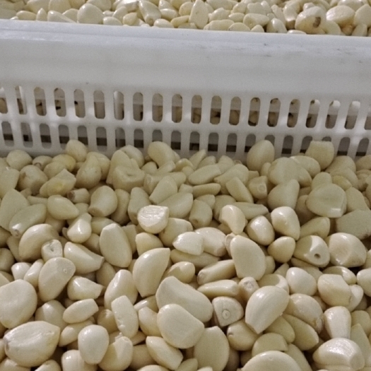 兰陵县高质量市场蒜米