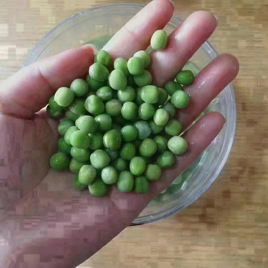 干青豌豆 颜色漂亮 不脱皮 跑江湖热销 价格美丽 量大从优