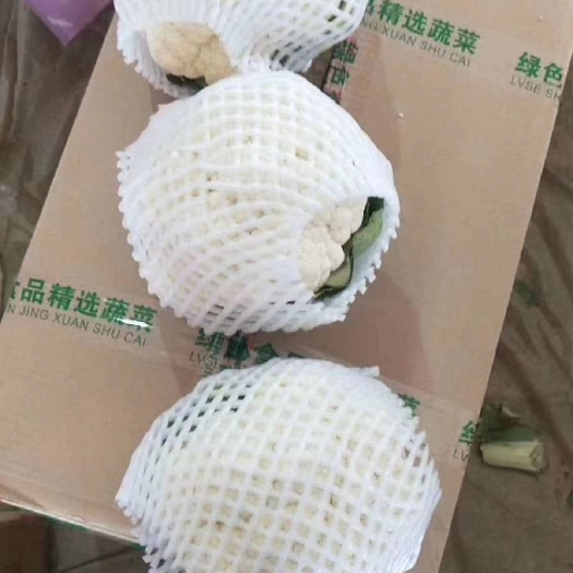 邯郸白花菜花 精品菜花
