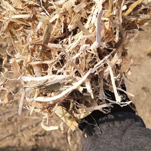 利辛县玉米秸秆 豆草，玉米桔杆，麦秸杆饲料，保质量，