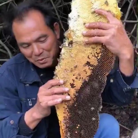 柳州逢年过节送礼佳品人人都喜欢喝的土蜂蜜纯正天然看得见