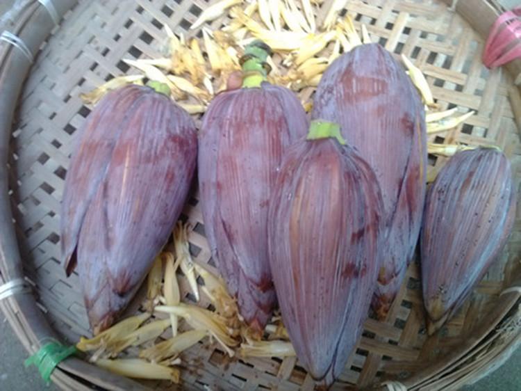 上林县新鲜食用芭蕉花 3斤5斤蔬菜