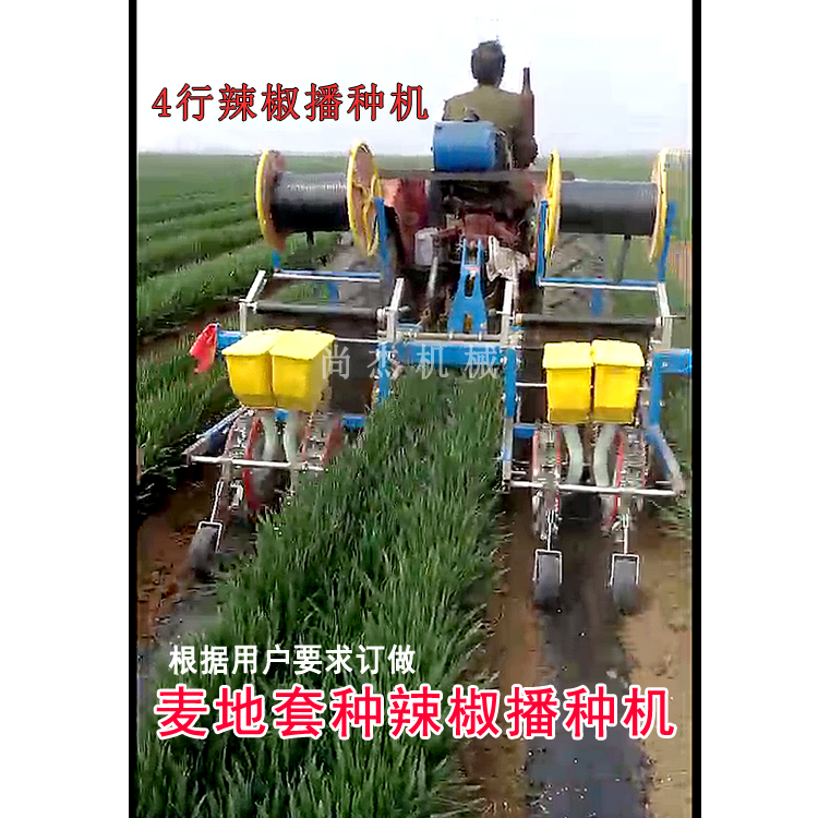  麦地套种辣椒播种机4行小麦套播覆膜播种机2行朝天椒播种铺膜机