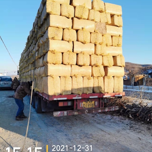吉林市秸秆饲料  玉米秸秆轧段方包