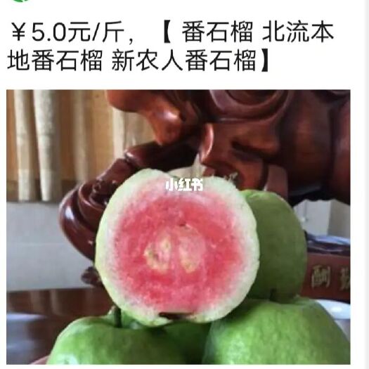 北流市 北流本地番石榴五块一斤