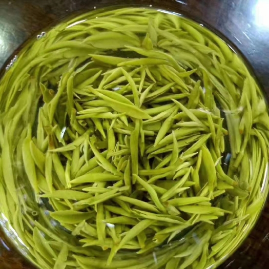 贵阳湄潭翠芽