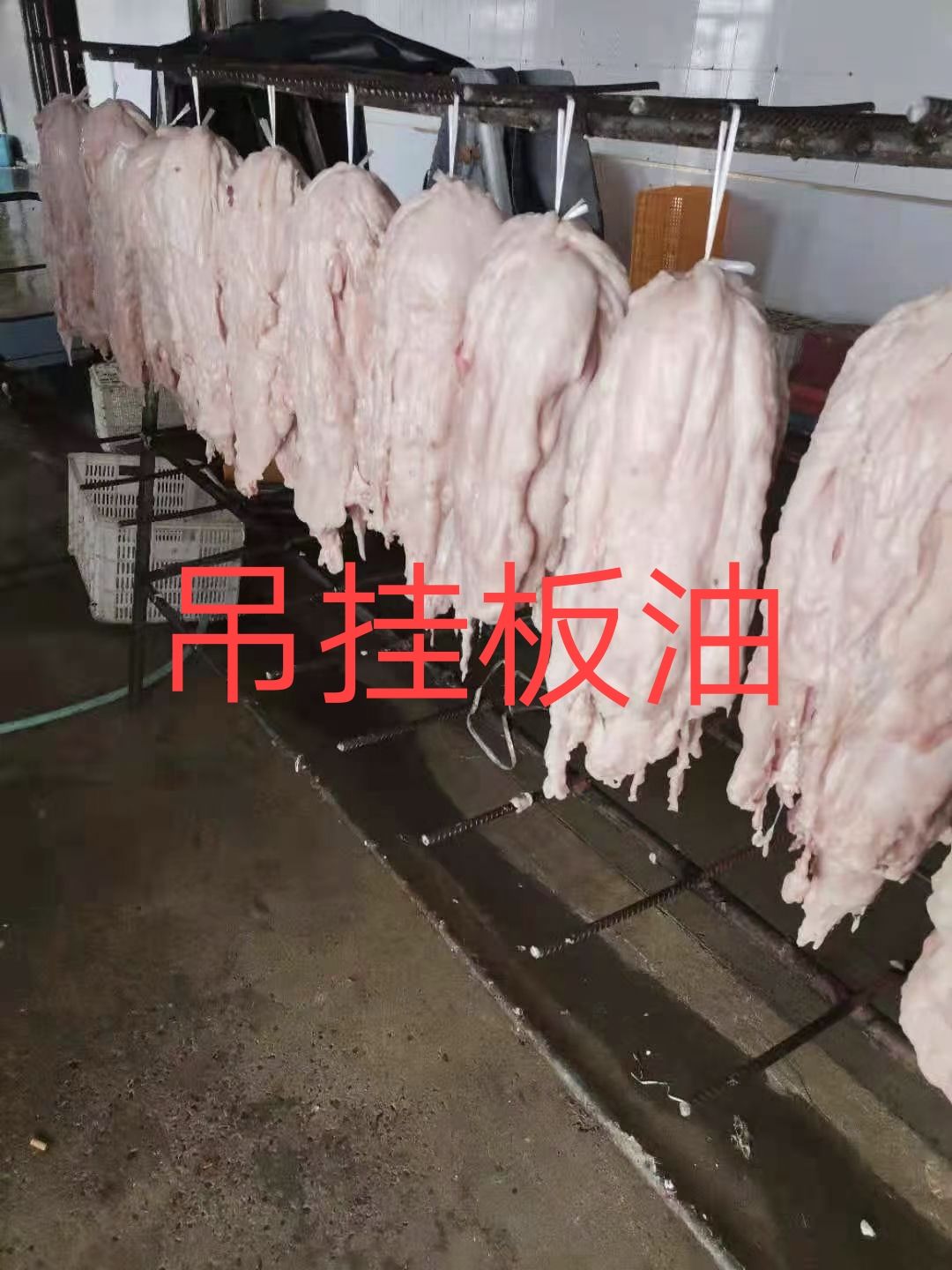 猪油 板油