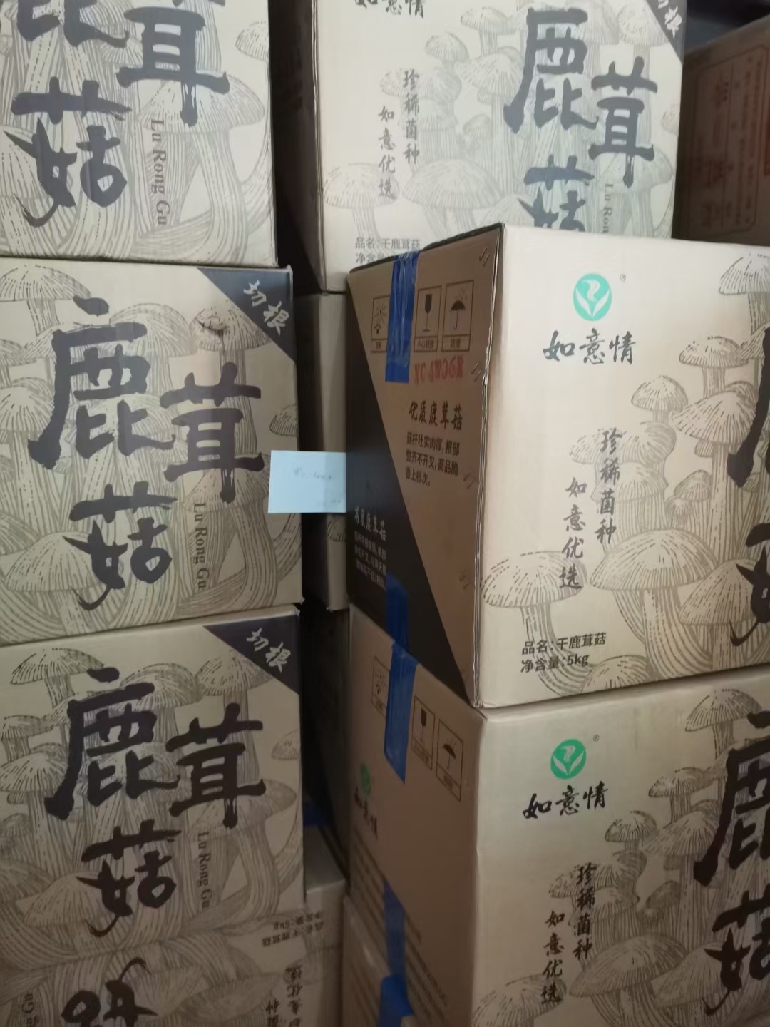 鹿茸菇干品批发，产地批发，厂家直销，保质保量，全国发货。