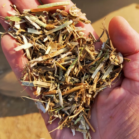 义县花生秧质量好