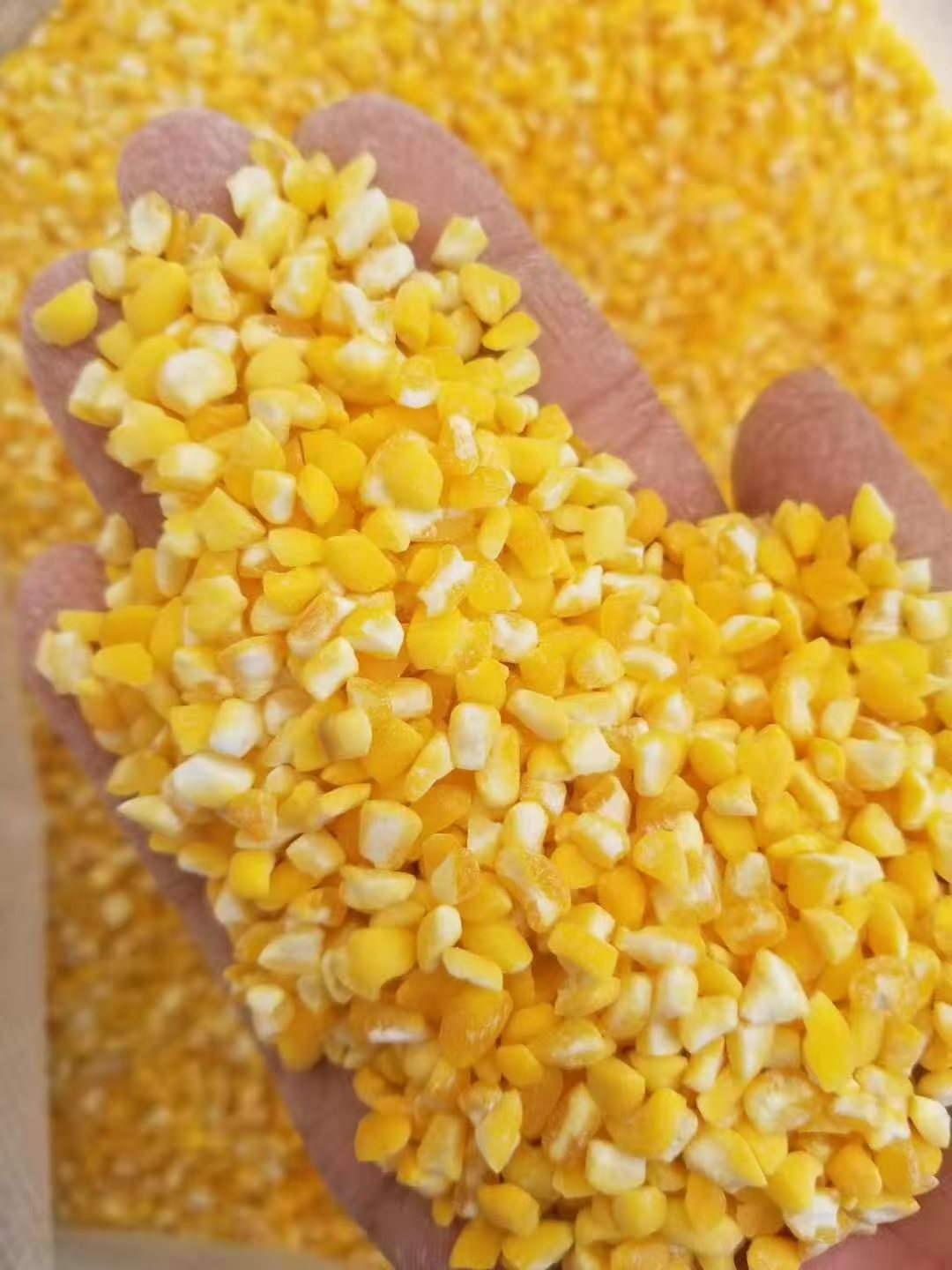 临沂玉米糁 ，细玉米糁，黄粘，白粘各种规格玉米渣