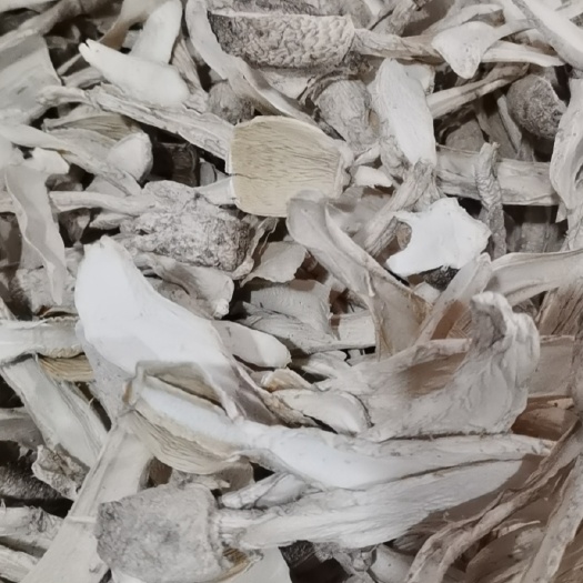 精品鸡腿菇干货批发，货源充足，产地批发，