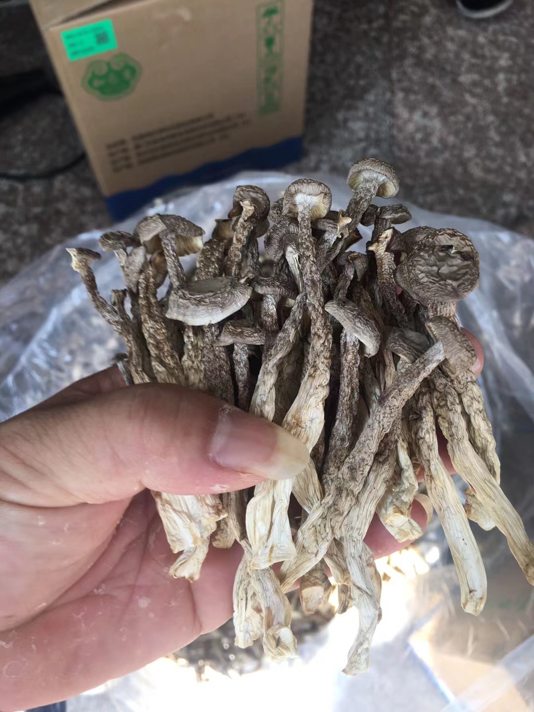 鹿茸菇干品批发，产地批发，厂家直销，保质保量，全国发货。