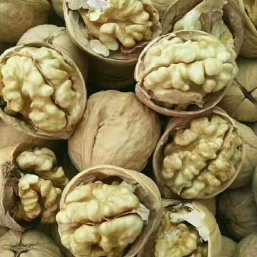 乌鲁木齐新疆特产185，纸皮核桃
