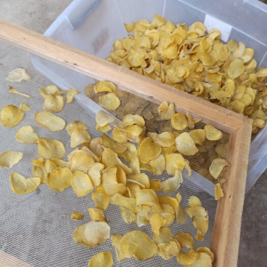 南阳干土豆 农户自产自销，土豆干