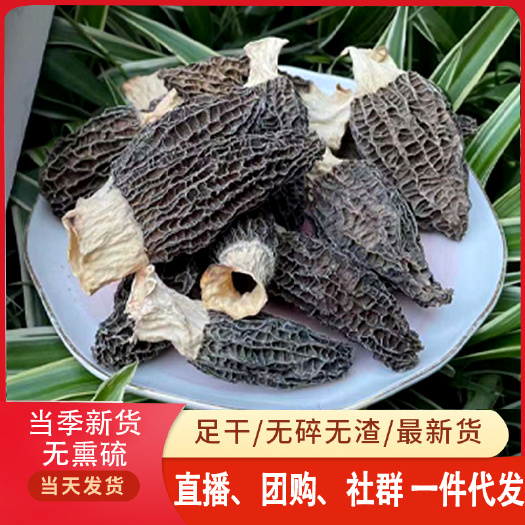 长沙 当季新货干羊肚菌500克带柄