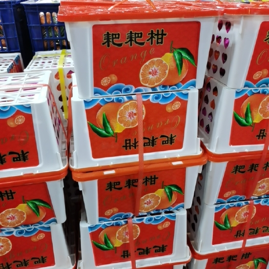 绍兴 耙耙柑