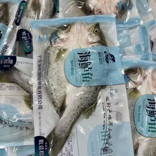 济南海鲈鱼 开背鲈鱼