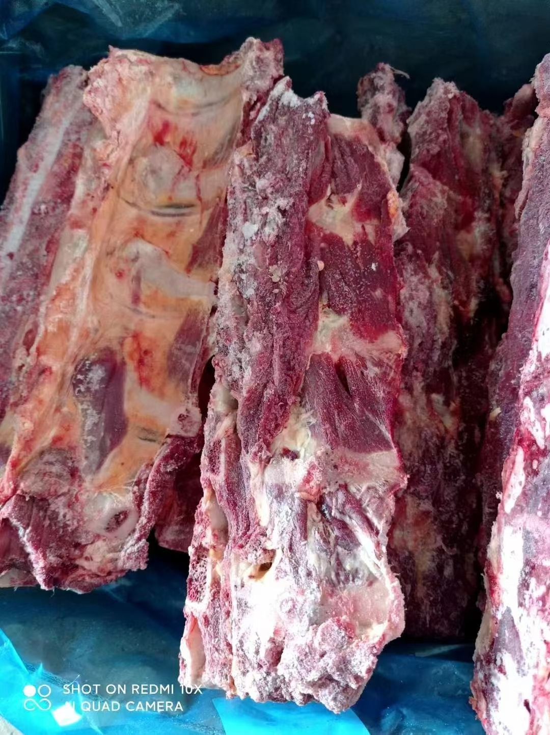 牛骨 脊骨 肩胛骨 满肉肩胛骨 多肉肩胛骨