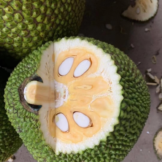 保亭县越南 海南 红肉菠萝蜜 一件代发电商微商对接24小时发货