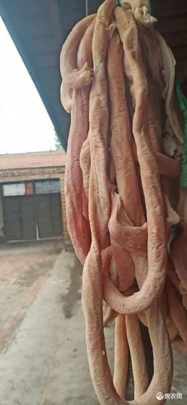 宜宾猪肠 鲜猪大肠