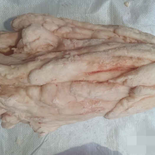 长春猪油 板油