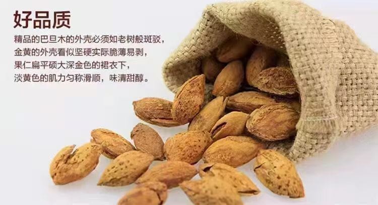 喀什市巴旦木