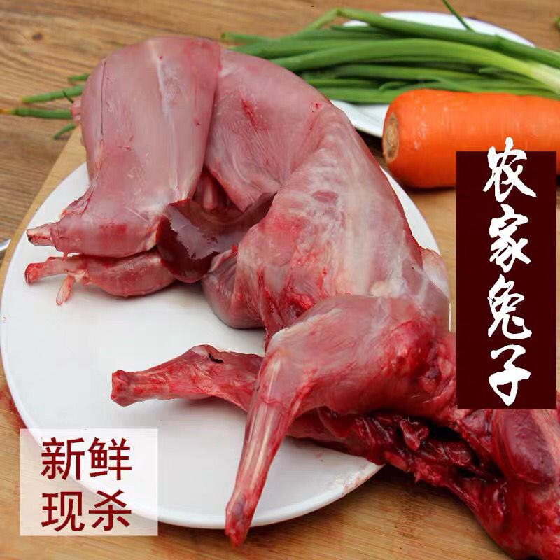 绿色食草生长迅速中型肉兔