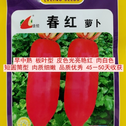 绿领春红萝卜种子，20克，皮色光亮鲜红，肉白色，肉质根为短圆