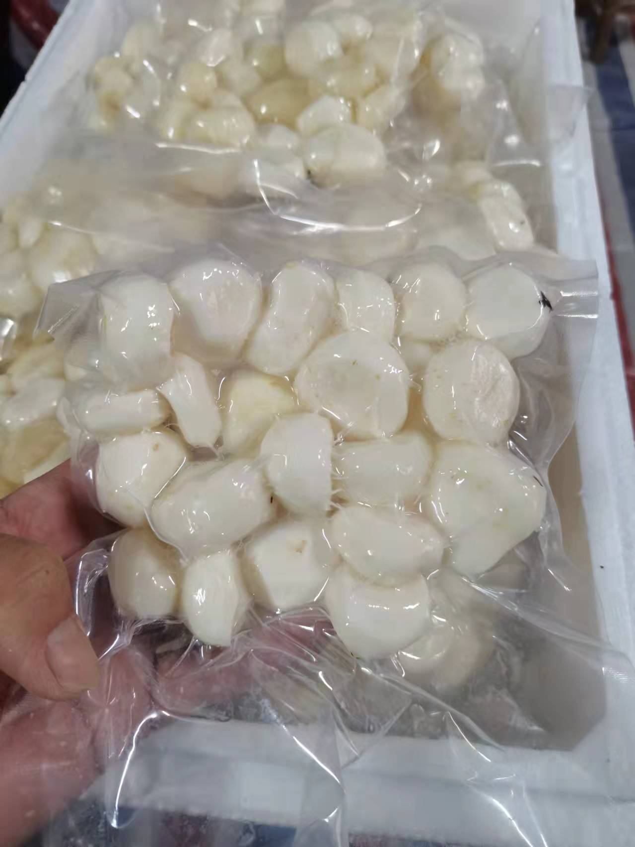毛马蹄  广西桂林市荔浦市削皮白马蹄，纯手工加工，欢迎选购。
