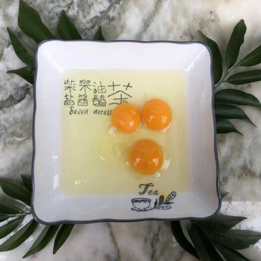 普安县 五黑鸡绿壳蛋
