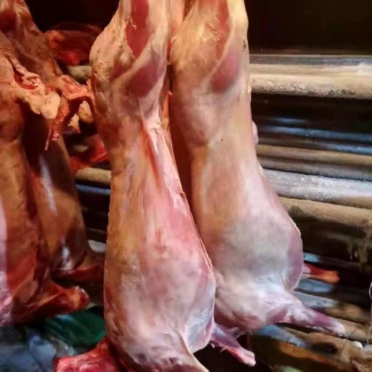 梁山县内蒙古白条羊，可鲜货，可冻现杀鲜冻，纯干