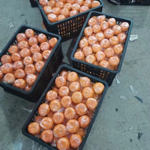 保靖县椪柑 湖南湘西优质富硒碰柑