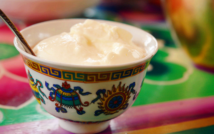 天祝藏族自治县天祝白牦牛 酸奶 手工制作 原汁原味