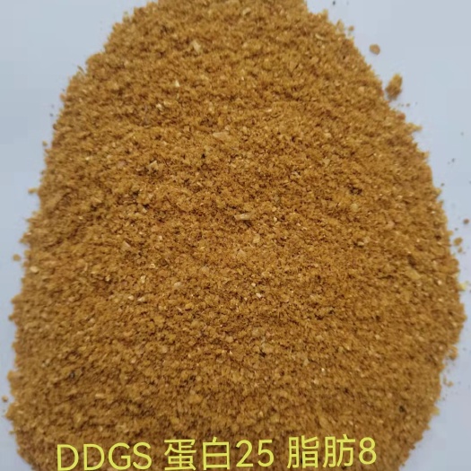 石家庄 玉米酒糟DDGS蛋白26 脂肪8