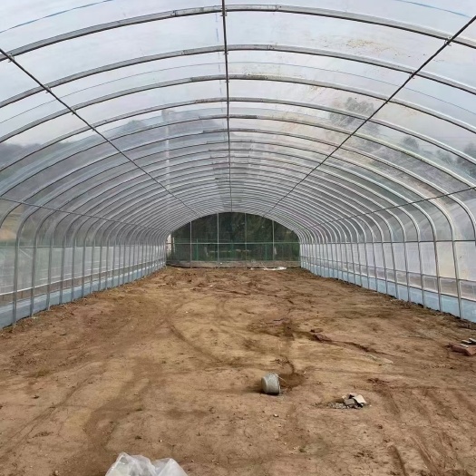 南皮县大棚骨架 椭圆管大棚，椭圆管蔬菜大棚